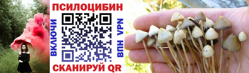 Псилоцибиновые грибы Magic Shrooms Белорецк