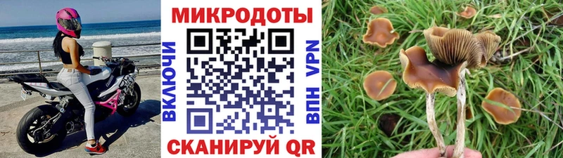 Галлюциногенные грибы мицелий  Белорецк 
